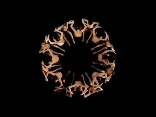 artistes de rue Silhouettes d'animaux formant un cercle sur fond noir.