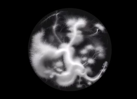 décor video Abstrait circulaire en noir et blanc, avec des formes tourbillonnantes et fluides.