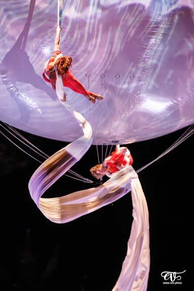 aerial silk Artistes de cirque en performance aérienne, suspendus par des tissus, en mouvements gracieux.