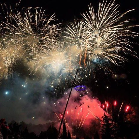 final spectacle Galileo Feux d'artifice colorés éclatant dans le ciel nocturne, illuminant les arbres.